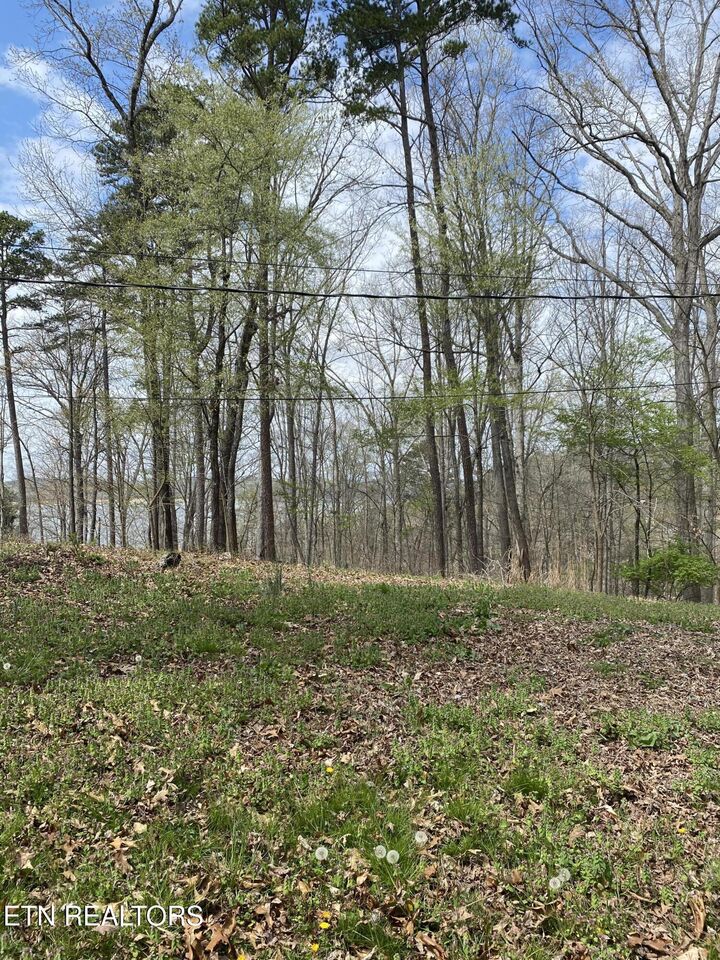 Property Photo: Lot 612 Cottage Lane TN 37725
