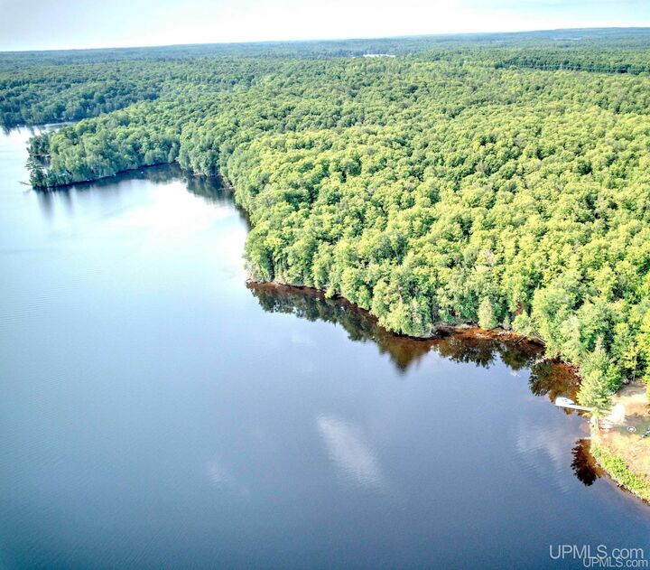 Property Photo:  21415 Petticoat Lake Road  MI 49861 