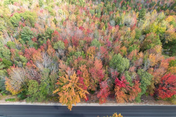 Property Photo:  535 Bert Gray Road  ME 04664 