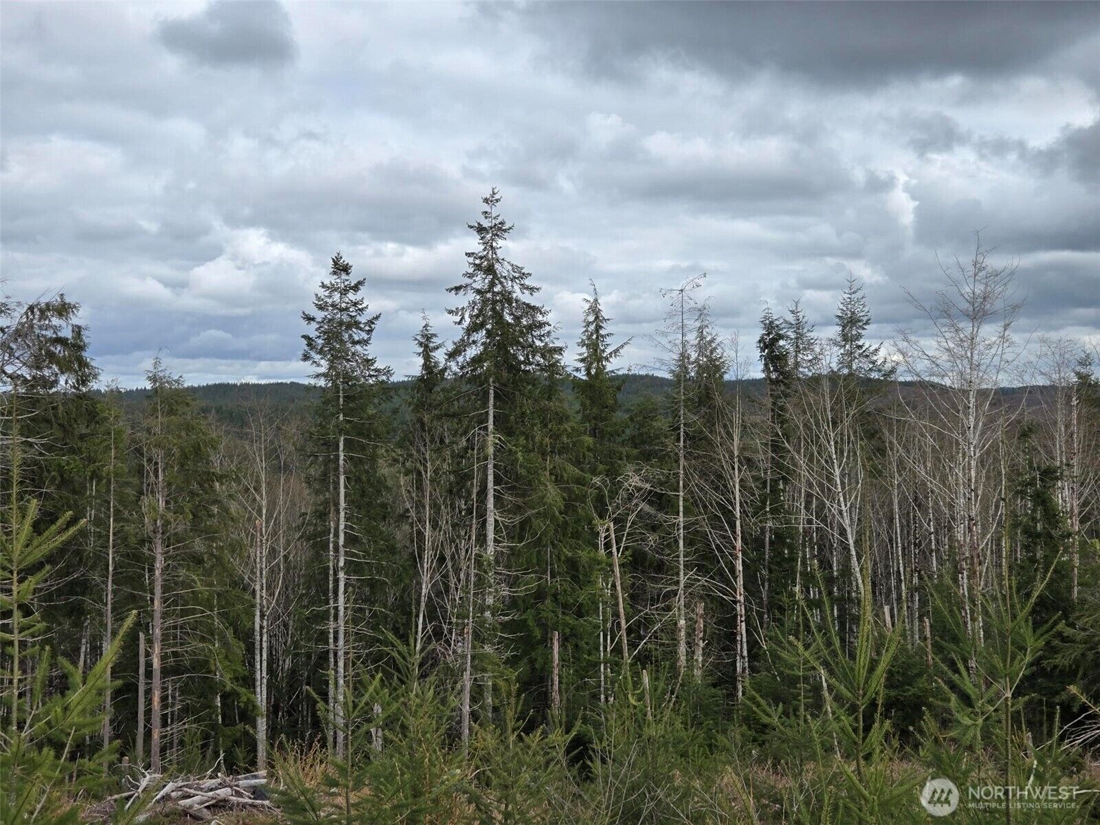 Property Photo:  0 Off Of  Hoquiam Wishkah Road  WA 98550 