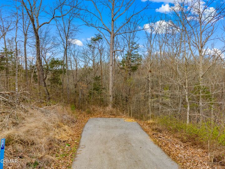 Property Photo:  1530 Waterside Cove Drive  TN 37725 