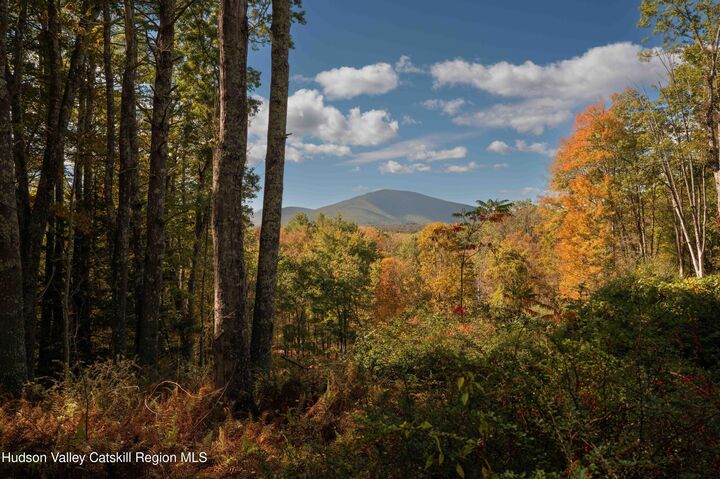 Property Photo: 00 Beaverkill NY 12401