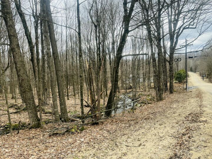 Property Photo:  000 Sam Cook Road  NY 12920 