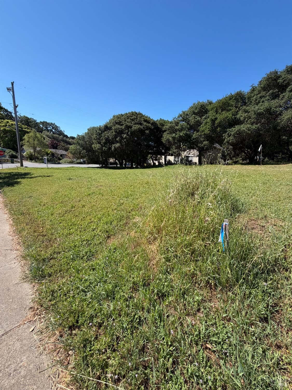 Property Photo:  156 Grant Court  CA 94952 