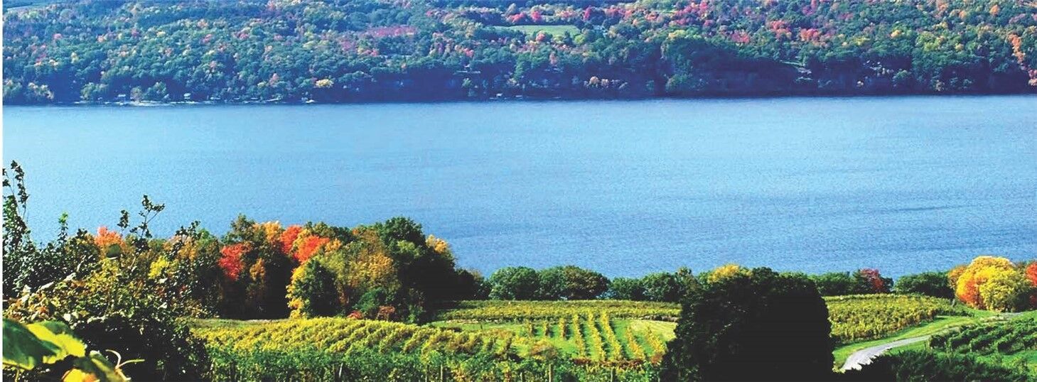 Property Photo:  4966 State Route 414  NY 14818 