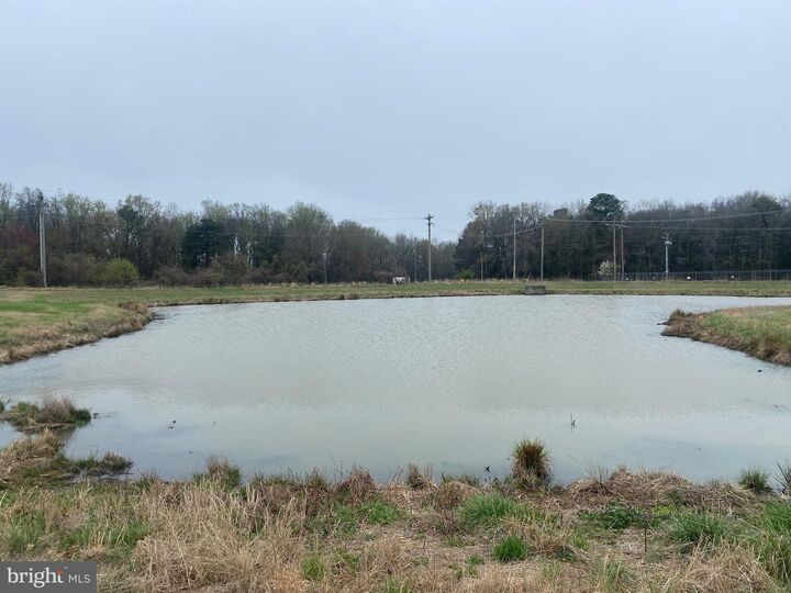 Property Photo:  168 Pond View Lane  DE 19973 