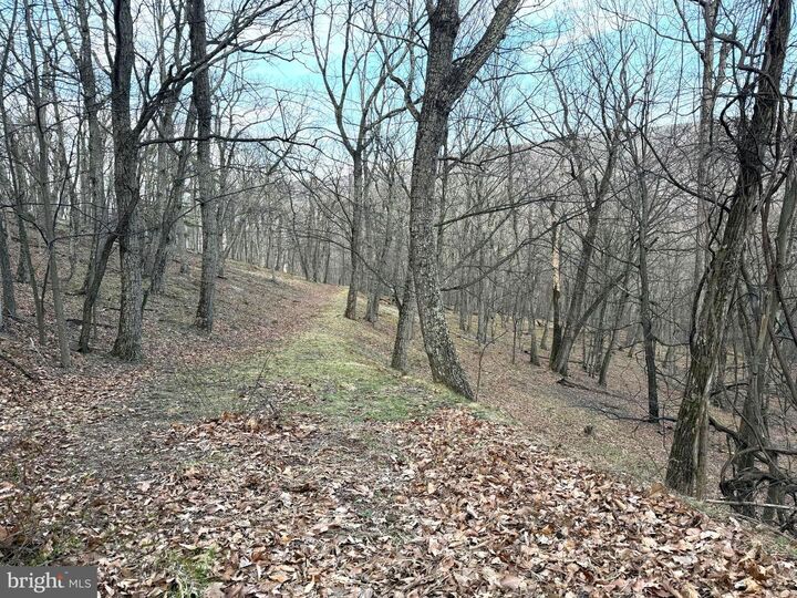 Property Photo: Lot 5 Preserve Road WV 26743