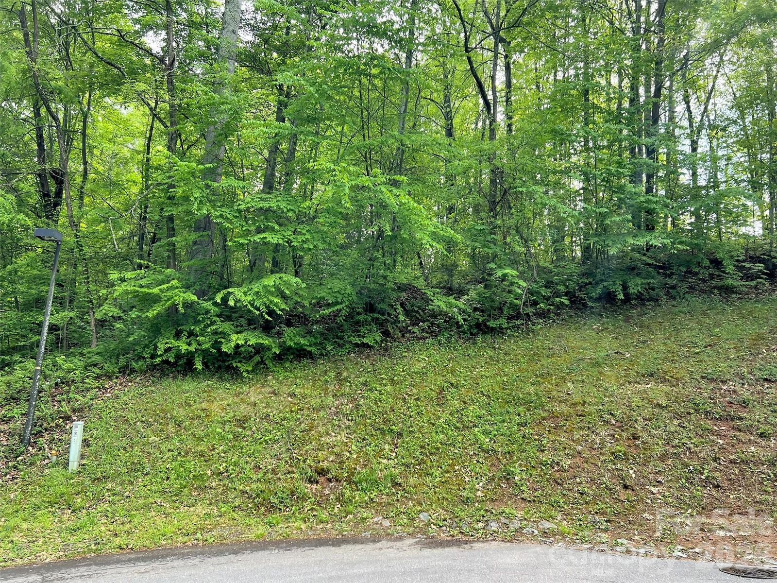 Property Photo:  186 Aldersgate Road  NC 28786 