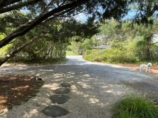 Property Photo:  1535 Kemper Avenue  SC 29412 