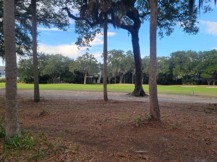 Property Photo:  260 Driftwood Lane  SC 29438 