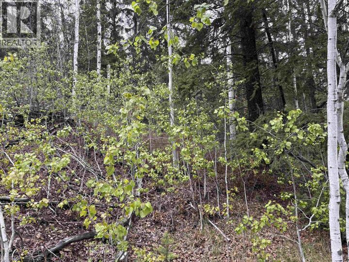 Property Photo:  Lot 26 Boultbee Road  BC V0K 2E3 