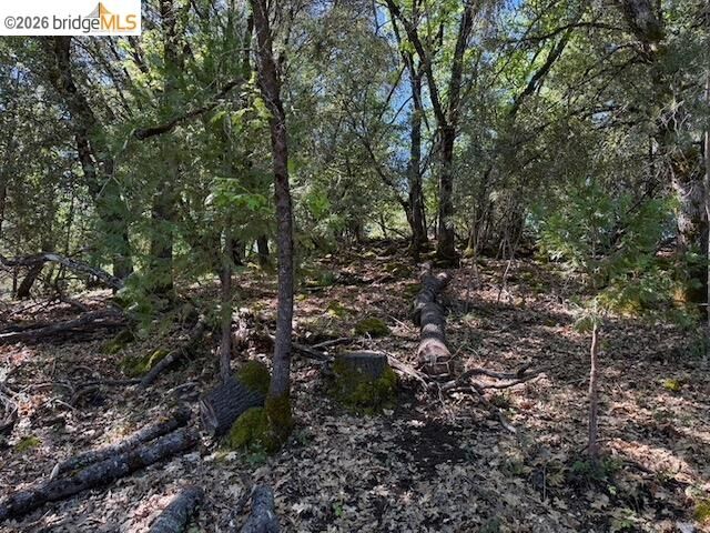 Property Photo:  21344 Green Meadow Ln  CA 95370 