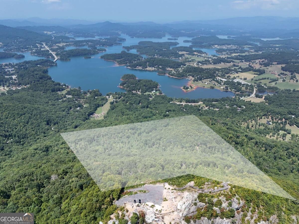 Property Photo: 145 Ac. Bell Mountain GA 30546