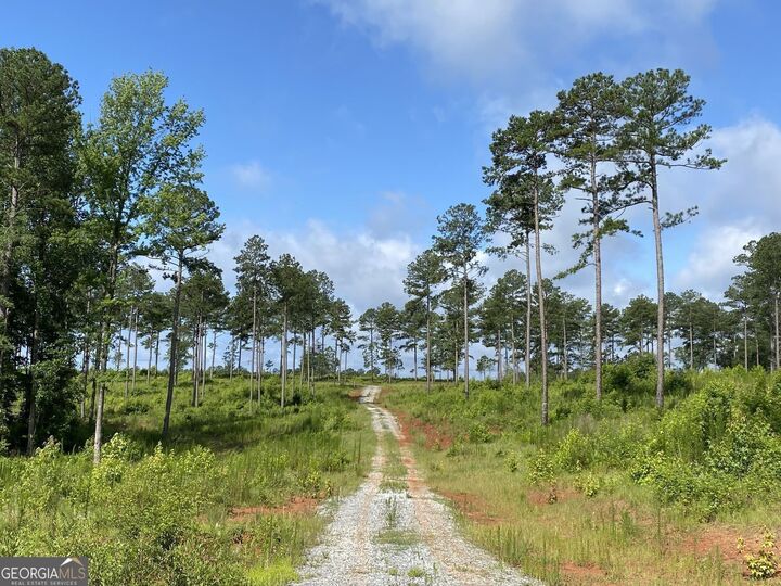 Property Photo: Lot 3 Giles Road GA 31029