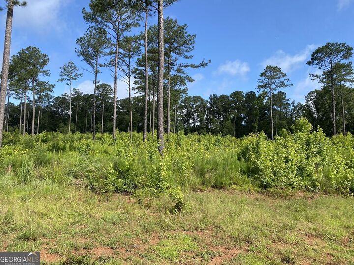 Property Photo:  Lot 3 Giles Road  GA 31029 