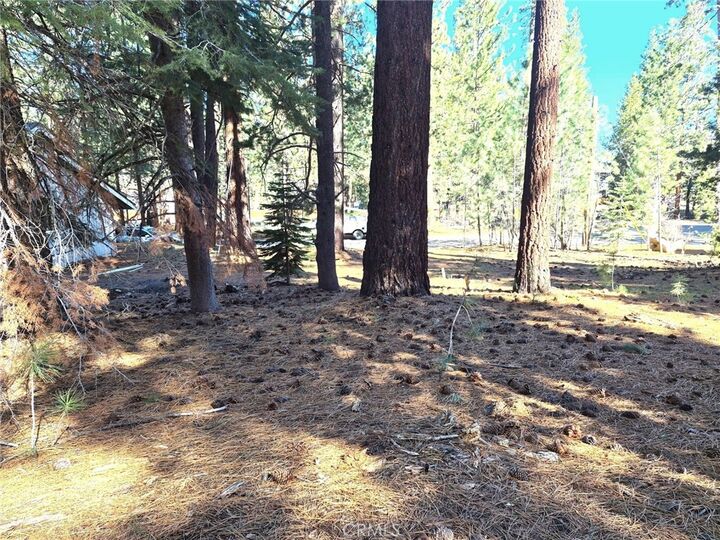 Property Photo:  1662 Maiden Hair Ct  CA 96150 