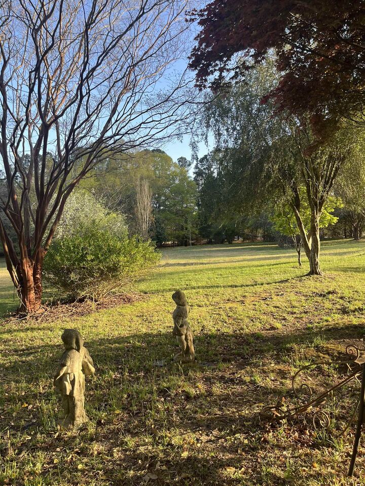 Property Photo:  119 Old Cooper Mill Road  SC 29307 