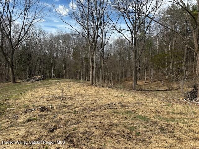 Property Photo: Lot 3 High Falls NY 12414