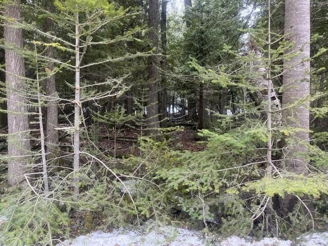 Property Photo:  1.24 Ac E Huron Drive  MI 49775 