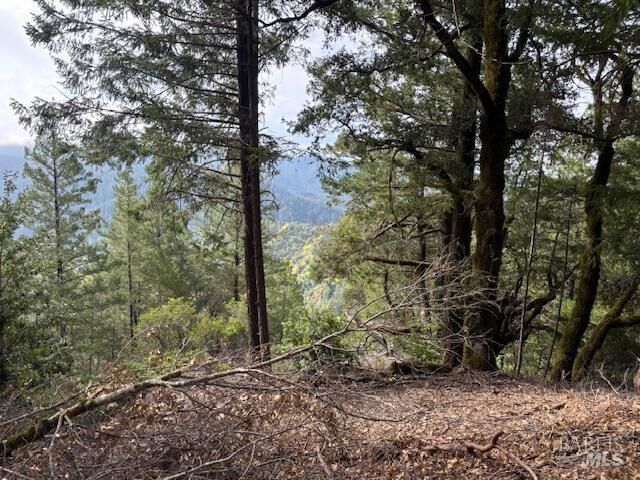 Property Photo:  17707 Rockpile Road  CA 95441 