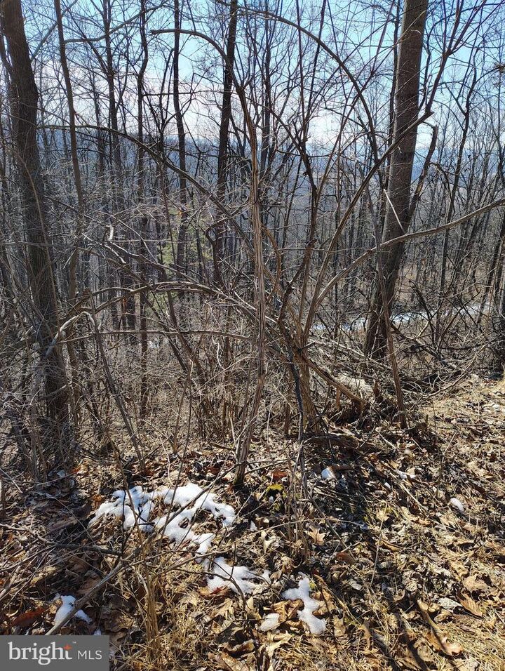 Property Photo:  Lot 2 Kistler Rd  PA 17024 