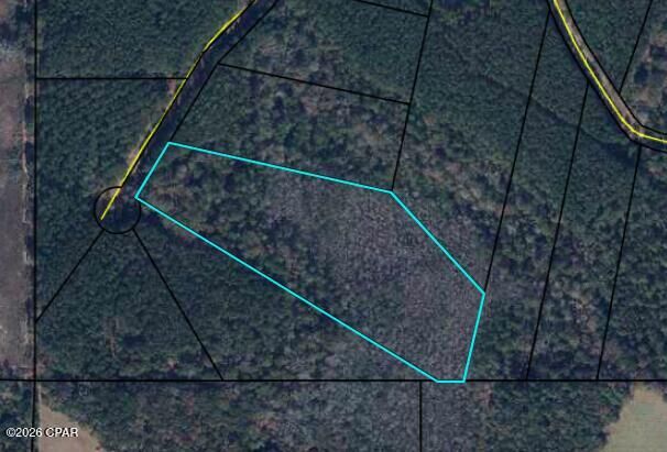 Property Photo:  0 Reedy Creek Crossing  FL 32464 