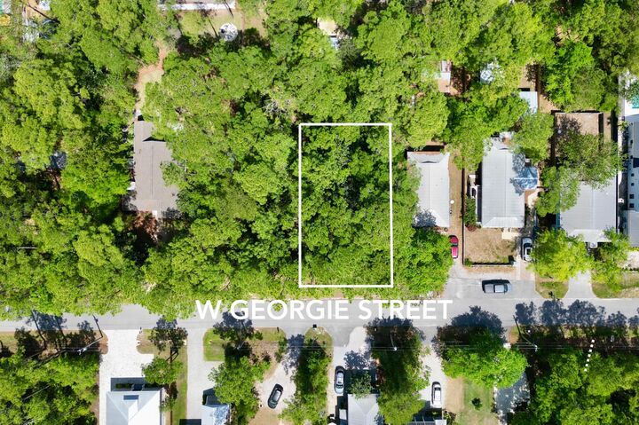 Property Photo:  Lot 35 E Georgie Street  FL 32459 