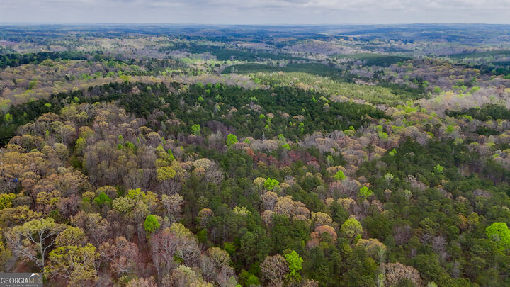 Property Photo: 78 Acres Cross Plains Road GA 30116