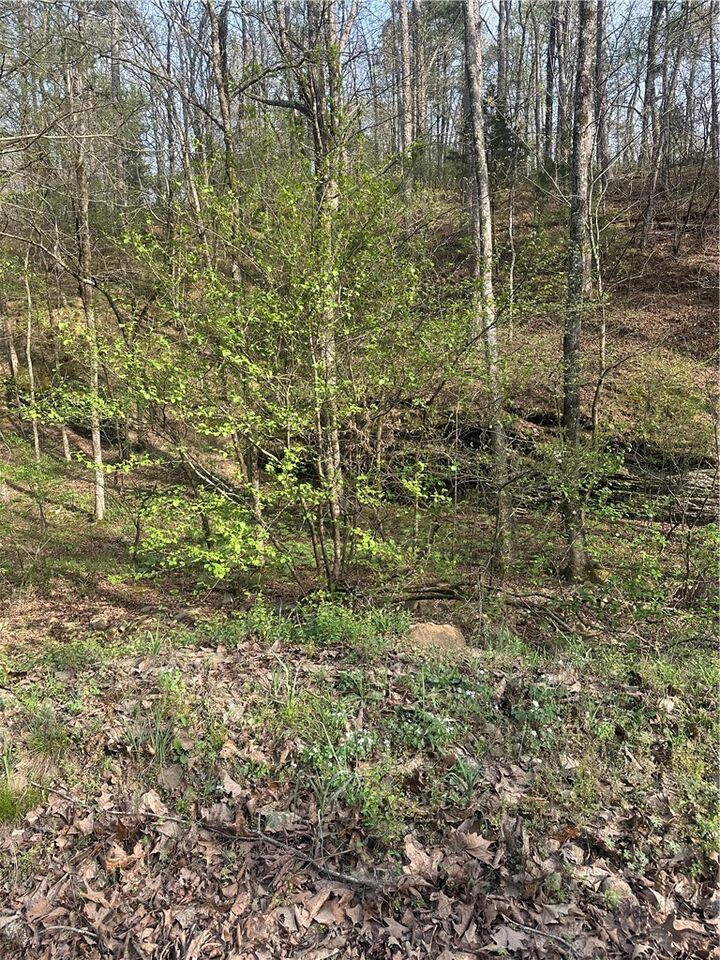 Property Photo:  000 Cr 3161  AR 72830 