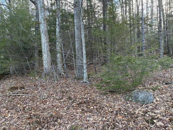 Property Photo:  5 Leshure Rd  MA 01367 