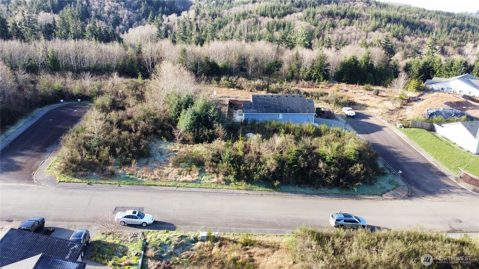 Property Photo:  0  Curlew Court  WA 98550 