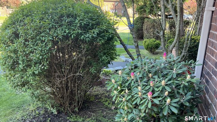 Property Photo:  94 Wakefield Circle 94  CT 06118 