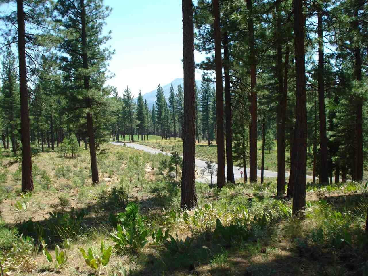 Property Photo:  69 Blacktail Ridge  CA 96122 
