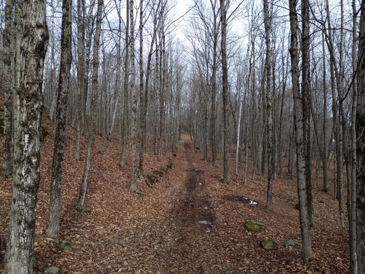 Property Photo:  62 Grove Street  ME 04930 