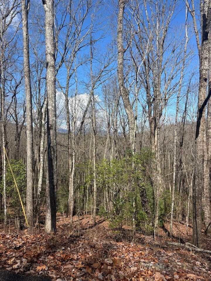 Property Photo:  L129/124 Laurel Crossing  GA 30513 