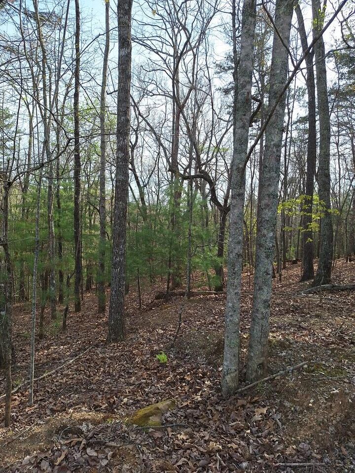 Property Photo:  Lot 22 Mull Lane Cir, Lt 22  GA 30560 