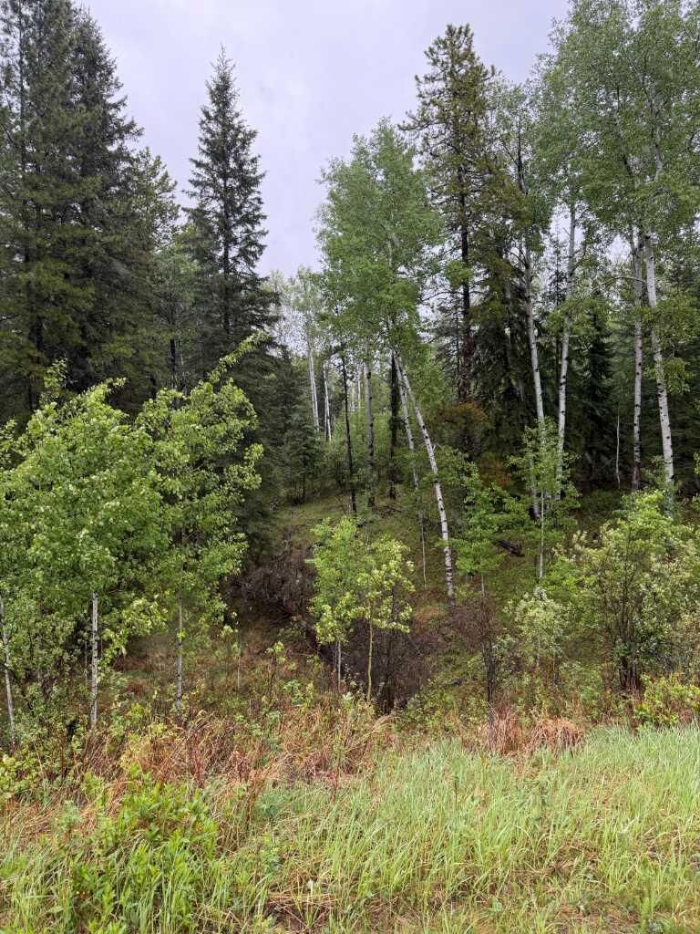 Property Photo: 514 Clearwater Estates Crescent AB T4T 2A2