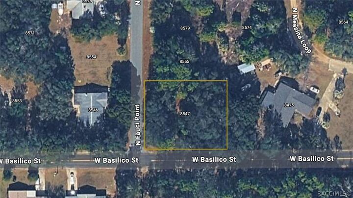 Property Photo:  8547 N Fauci Point  FL 34428 