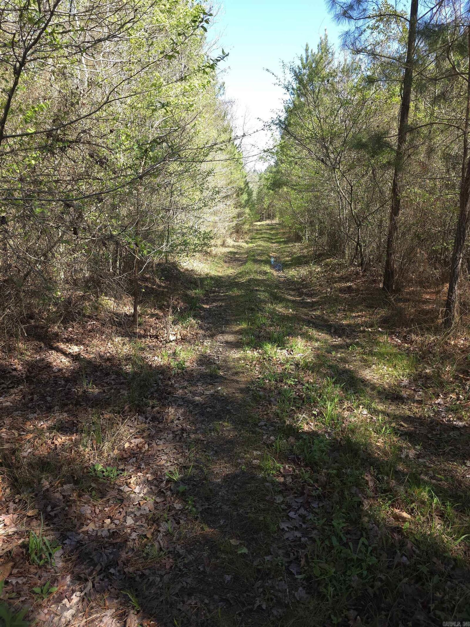 Property Photo:  Tbd Shawmut Road  AR 71958 