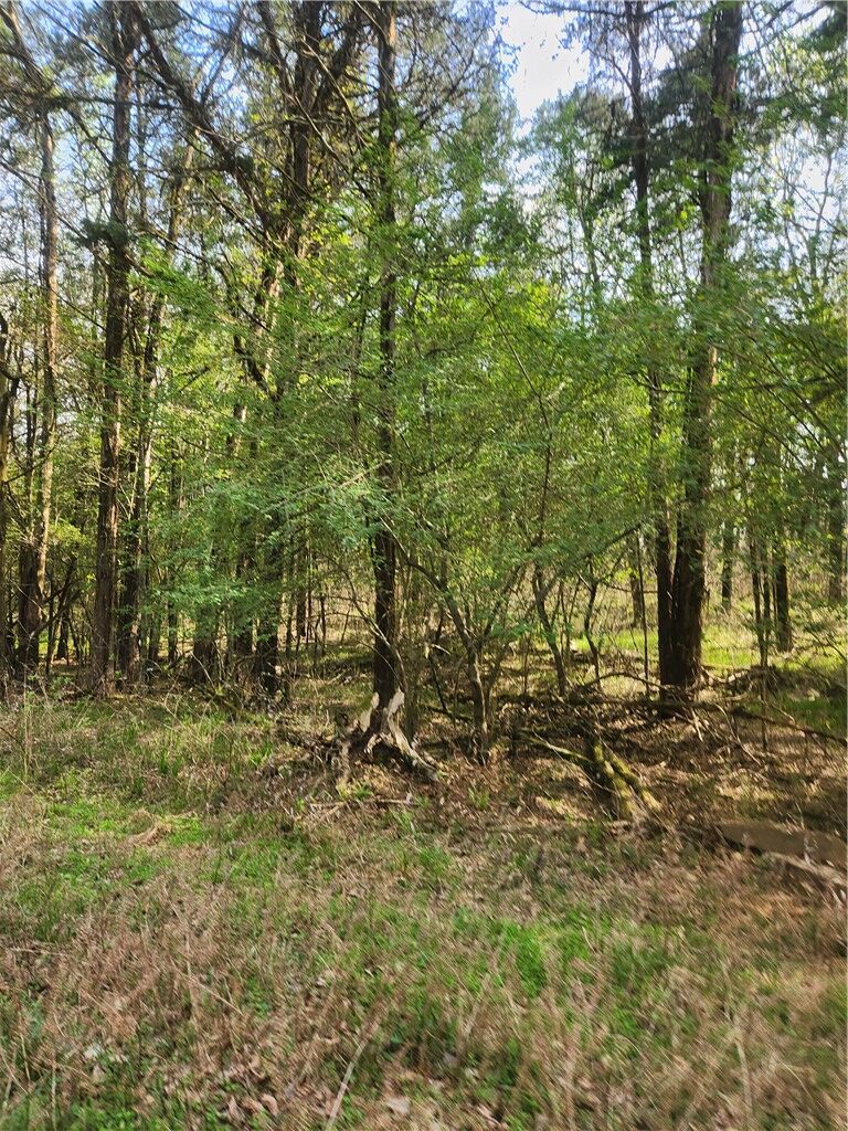 Property Photo:  Lakeview  AR 72847 