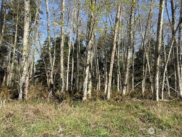 Property Photo:  0 Lot 21  Ander Park Road  WA 98249 