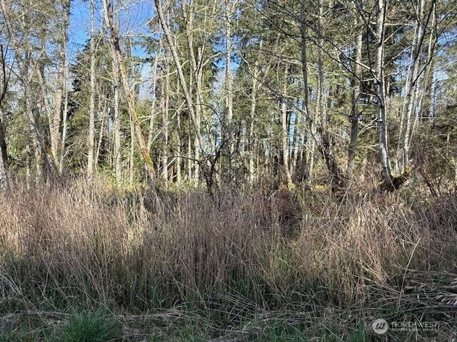 Property Photo:  0 Lot 16  Ander Park Road  WA 98249 