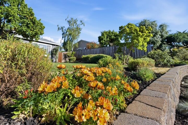 Property Photo: 536 Coralie Drive CA 94597