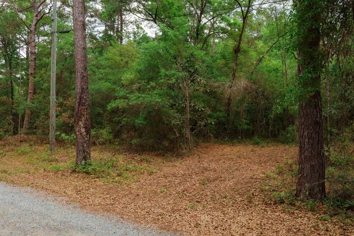 Property Photo:  0 Bird Song Trail  FL 32309 