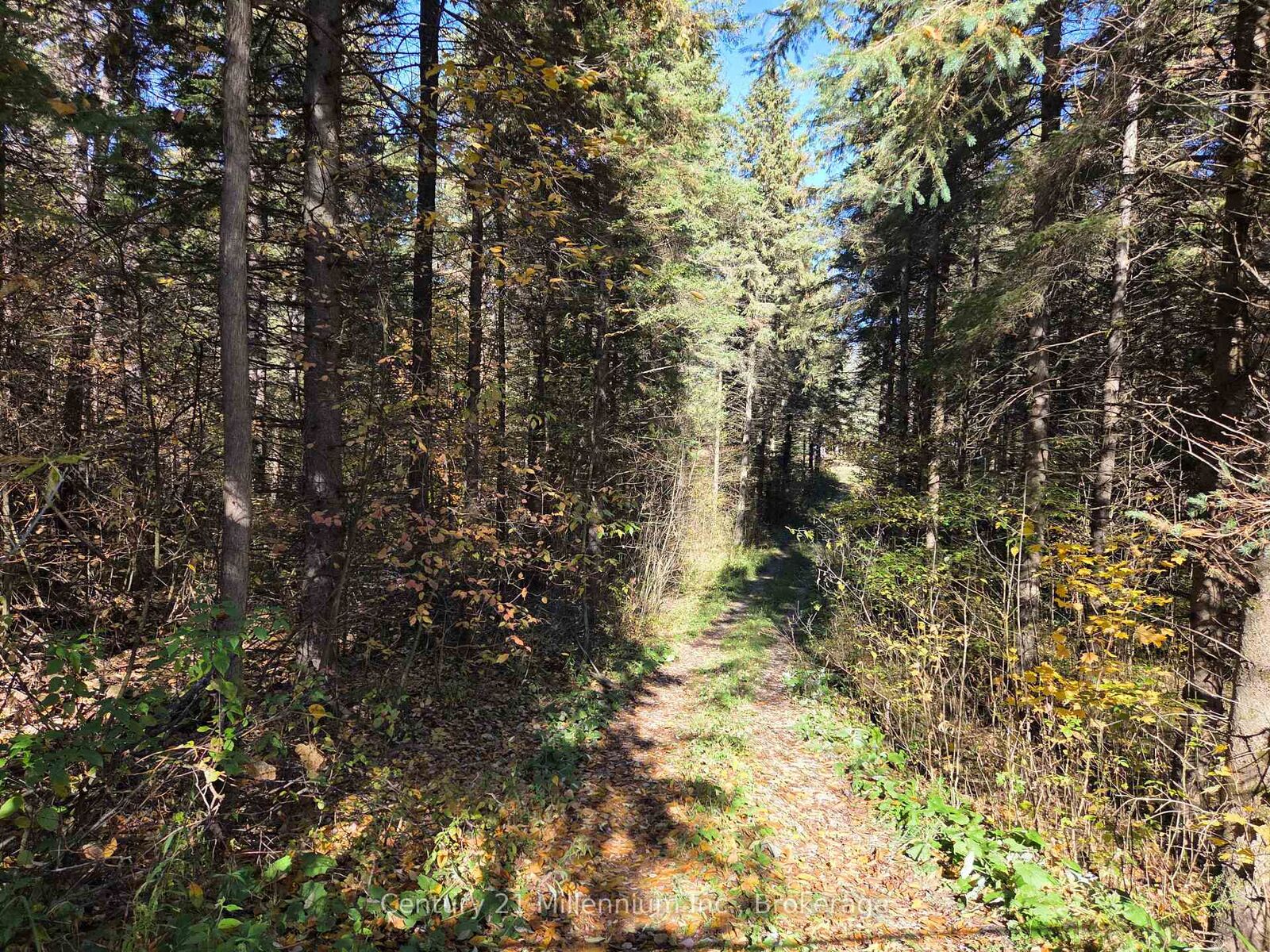 Property Photo:  627383 15 Side Road  ON L0N 1M0 