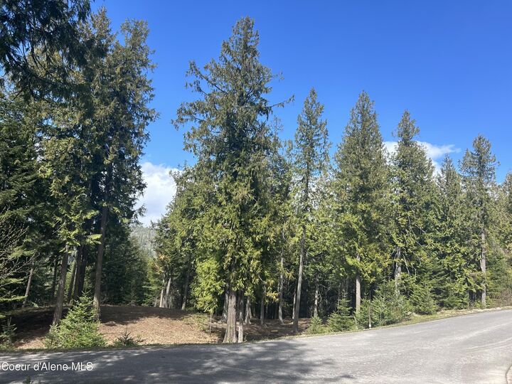 Property Photo:  Lot 17 White Cloud Dr  ID 83864 