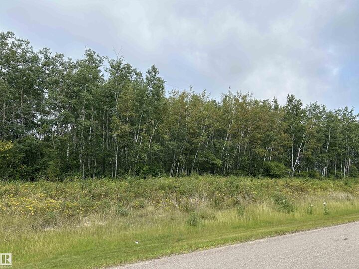NE 23 62 1 W4 411A Road — photo 1