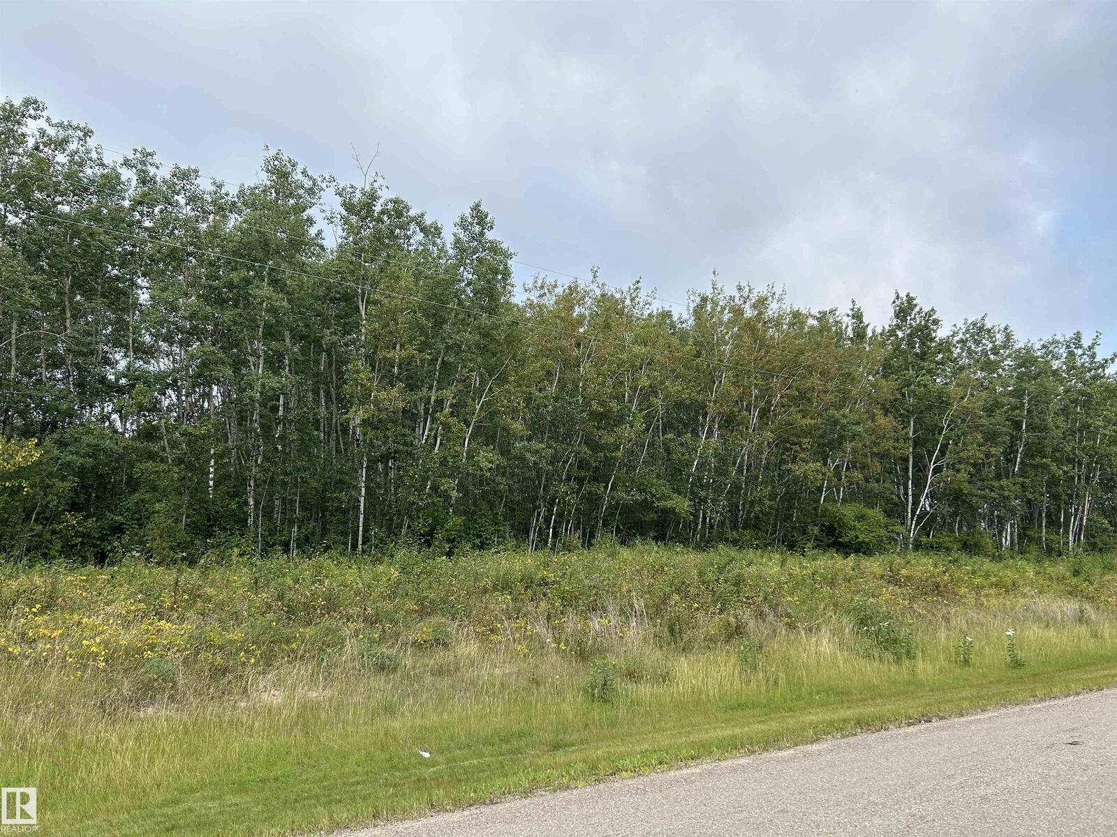 Property Photo:  NE 23 62 1 W4 411A Road  AB T0A 0T0 