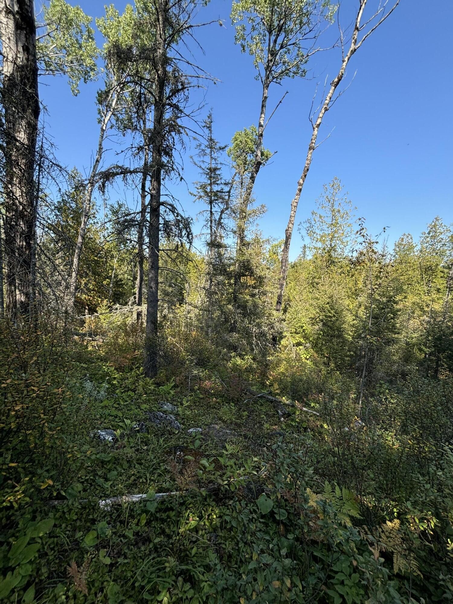 Property Photo: 585 N Czech Ln MI 49745