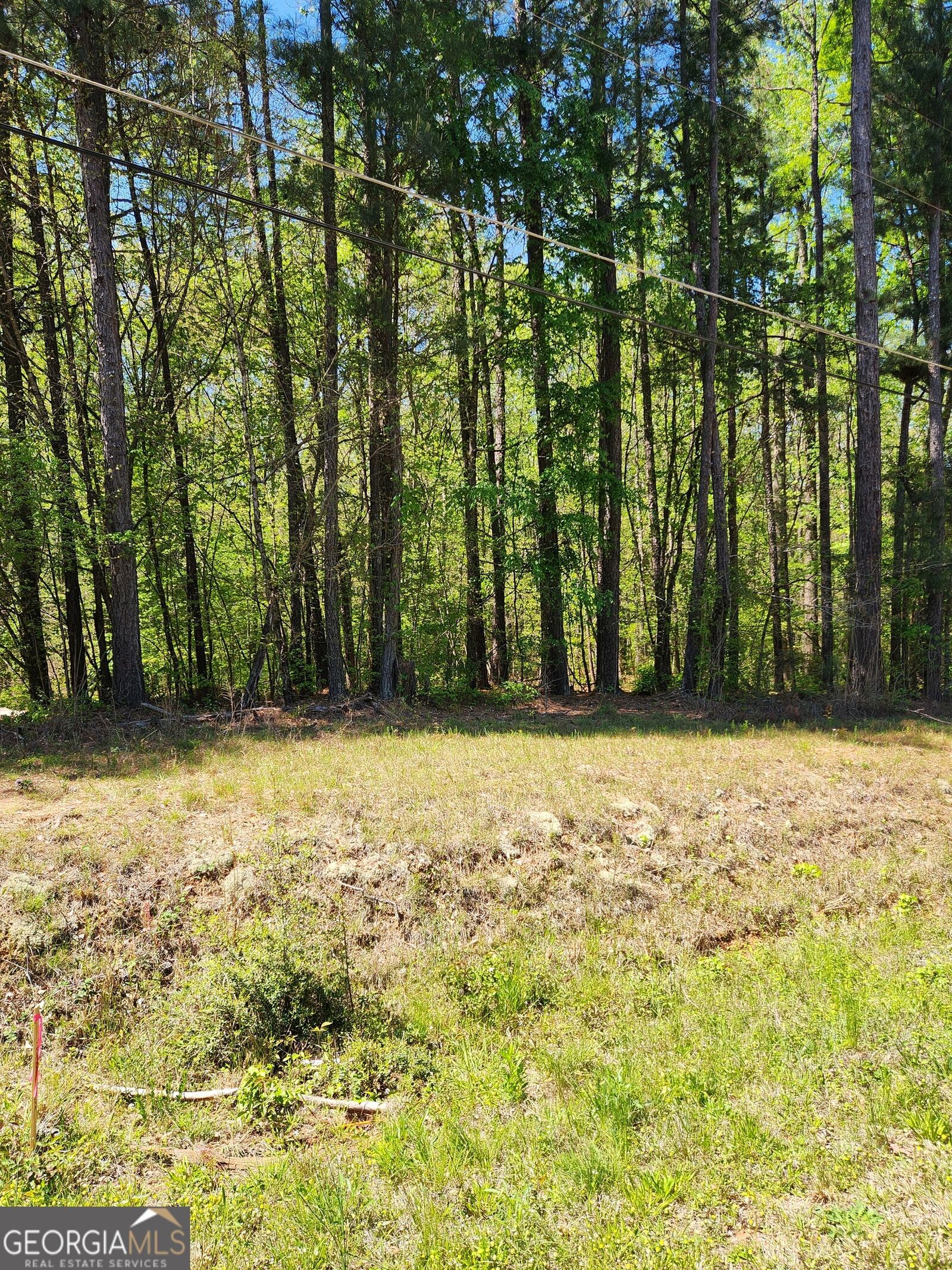 Property Photo: 674 Lower River Road GA 30016